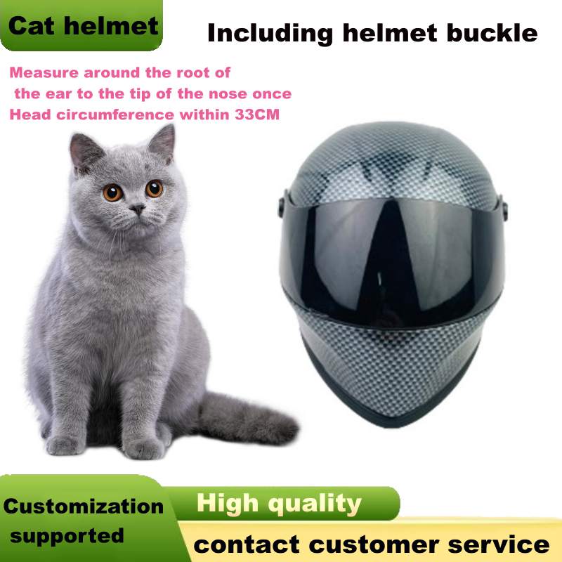 Haustier-Vollgesichts-Motorrad – Full Face Helmet Carbon Fiber Bewertung und Preis